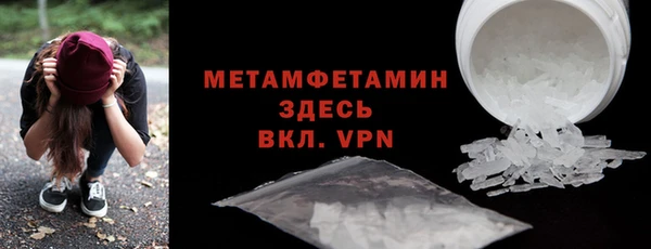 гидра Богданович