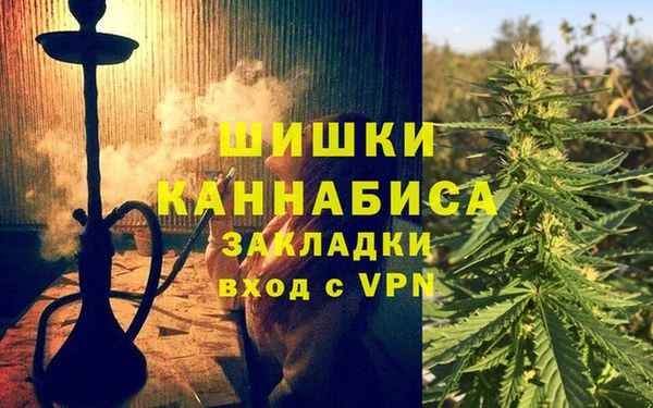 не бодяженный Белокуриха