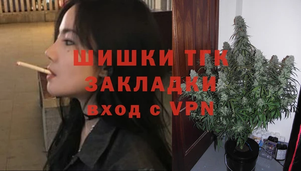 ECSTASY Богородицк