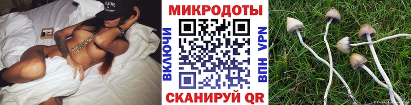 Галлюциногенные грибы GOLDEN TEACHER  купить закладку  Дмитровск 